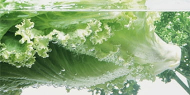 テキストがはいります。テキストがはいります。テキストがはいります。